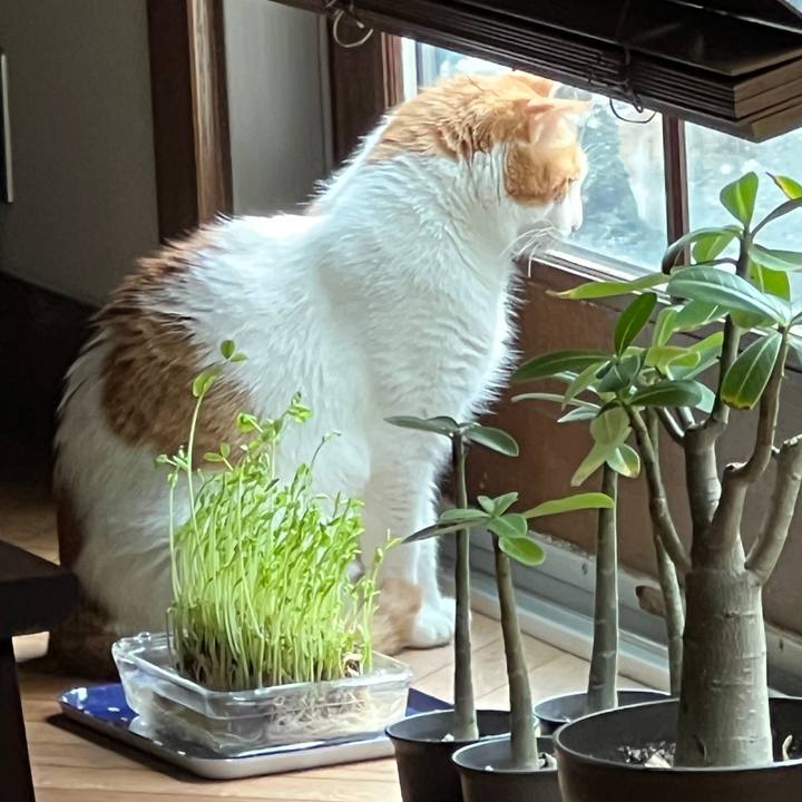 477c3e65 b0a9 4ca2 8677 9b324c34f0fd 1760405337217