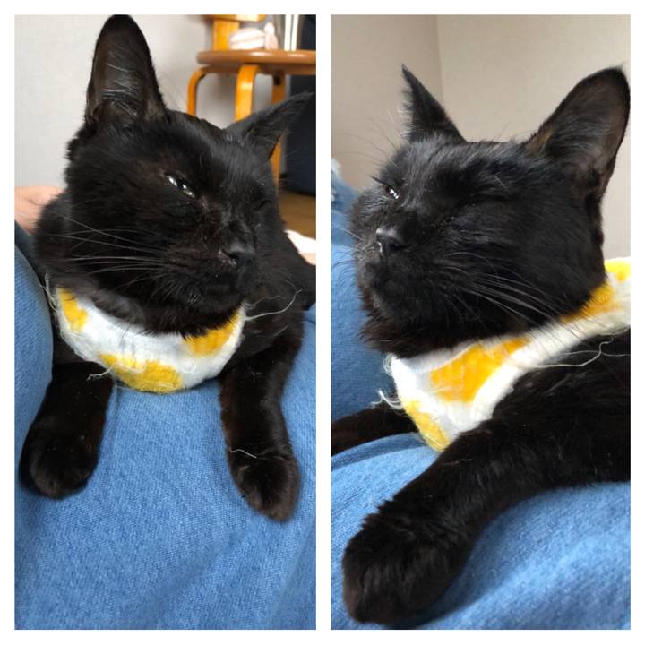 477c4567 be5f 4067 950c 331fc42f4da2 1556141243198