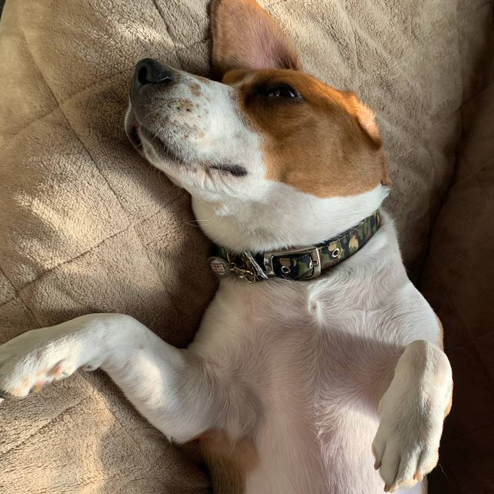 477c540b a822 4d65 bfac 1da7c71da847 1582518983298