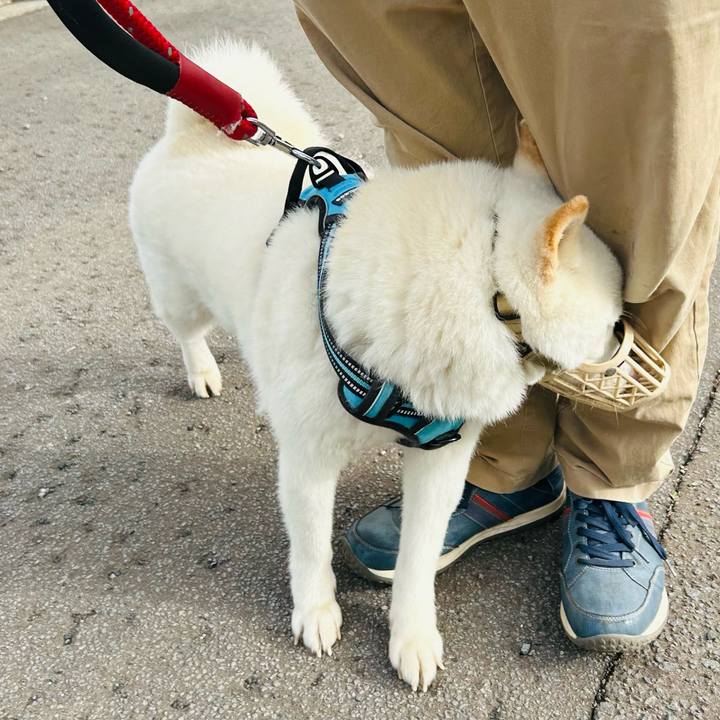 477c7774 75a9 4d3e a970 7d09c36bda56 1684792640474