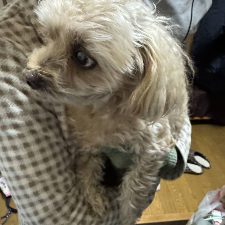 477c8372 92ac 48c6 830a 6838b463dfb3 1735991539721