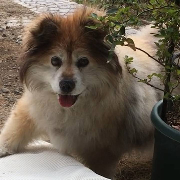 477c8827 0b88 4c95 b9ca 25336a5b6662 1594895923230