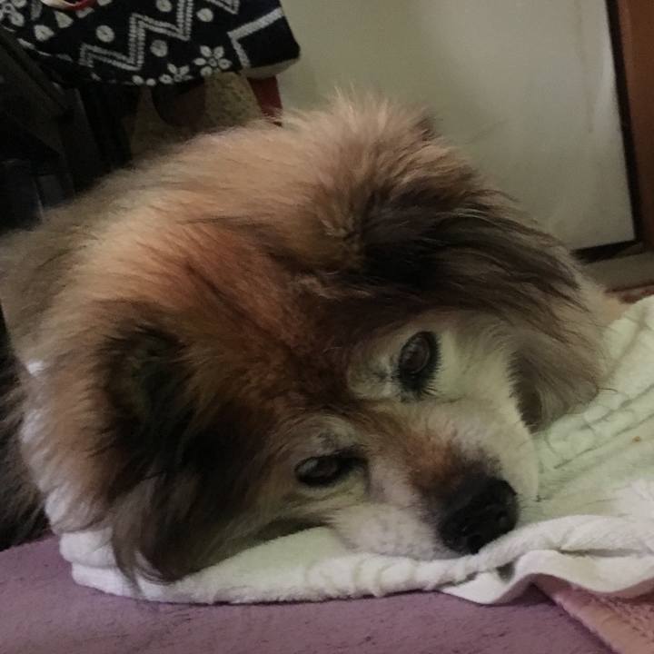 477caeca 45d1 425a 9d1e 8788c7a8737a 1608097828795