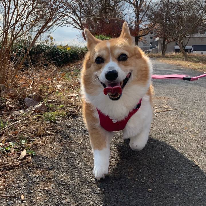 477d1269 1cc8 4441 bc6c 614c19729aca 1702261151498