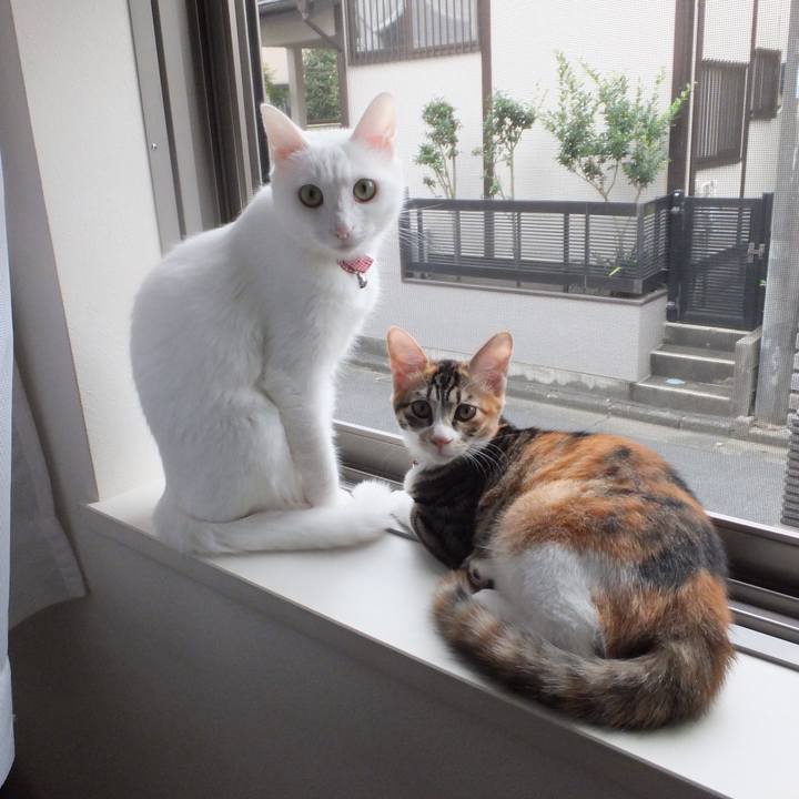 477d1db1 cad2 4e51 9ddf 5b141a65409c 1631089783553