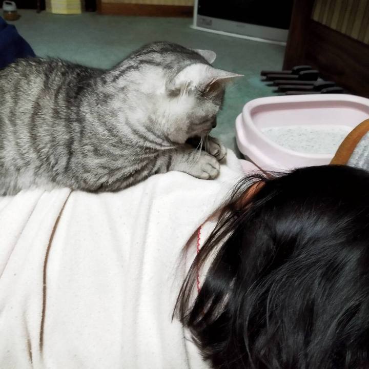 477d46e5 4cda 4575 a405 60dca27f97b0 1767061464023