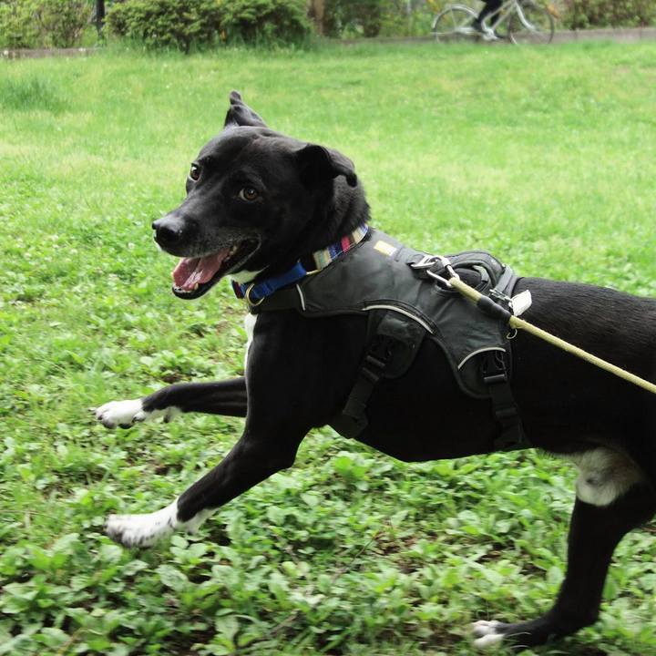 477d7b96 8073 424e b526 1cedca01ddc2 1651107567776