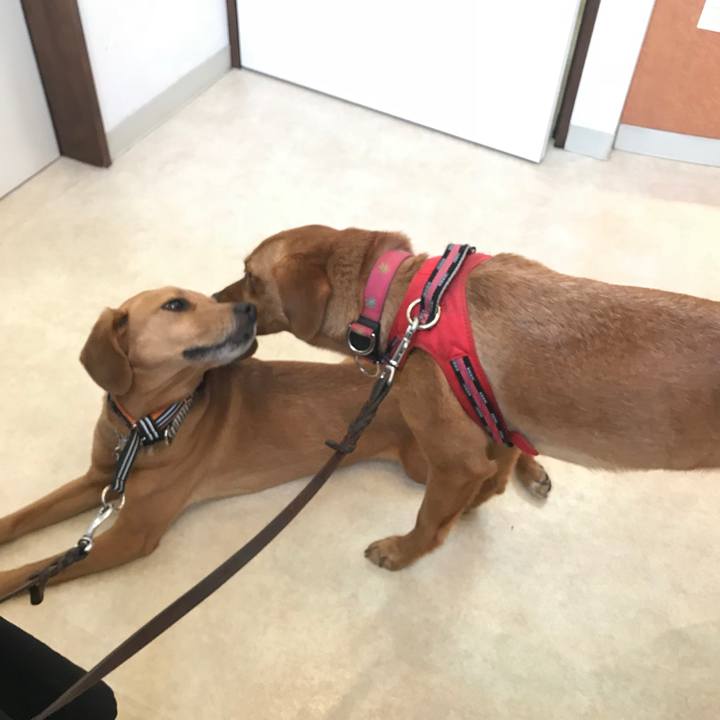 477d9a5e 891b 40de 81e1 b2bfa284538f 1522568754173