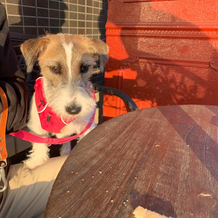 477d9f8d c8b4 43ad 9ddc 90ef6de943f1 1572685090333