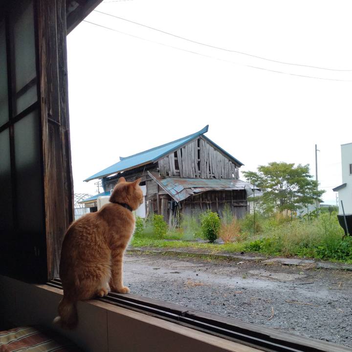 477e13fd 64f4 434e aa45 aeda00cdb8bc 1663894986694