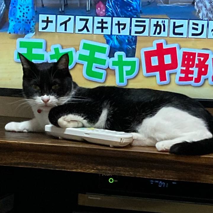 477e152b 2842 4f85 91a2 7a188a1fa97b 1652863937092