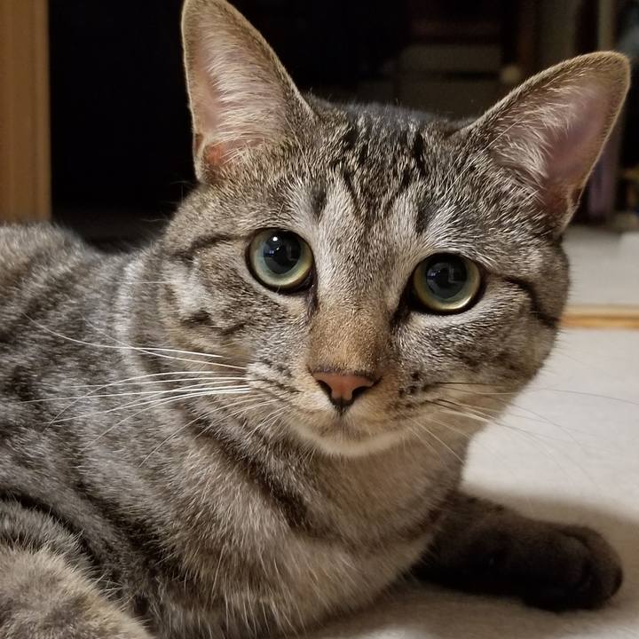 477e3ace 2113 476b acce 7c4d3a969ae7 1692704104791