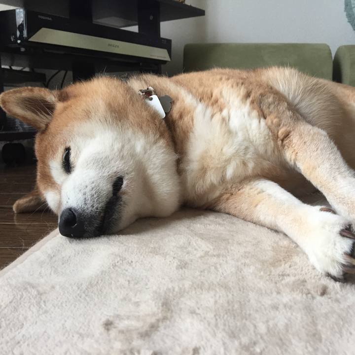 477e5b4d 7c10 405c 9aa3 34df34c9464f 1529211935031