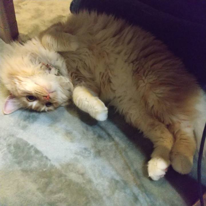 477e6ef5 9c48 42ca be87 997f0f180772 1651660200493