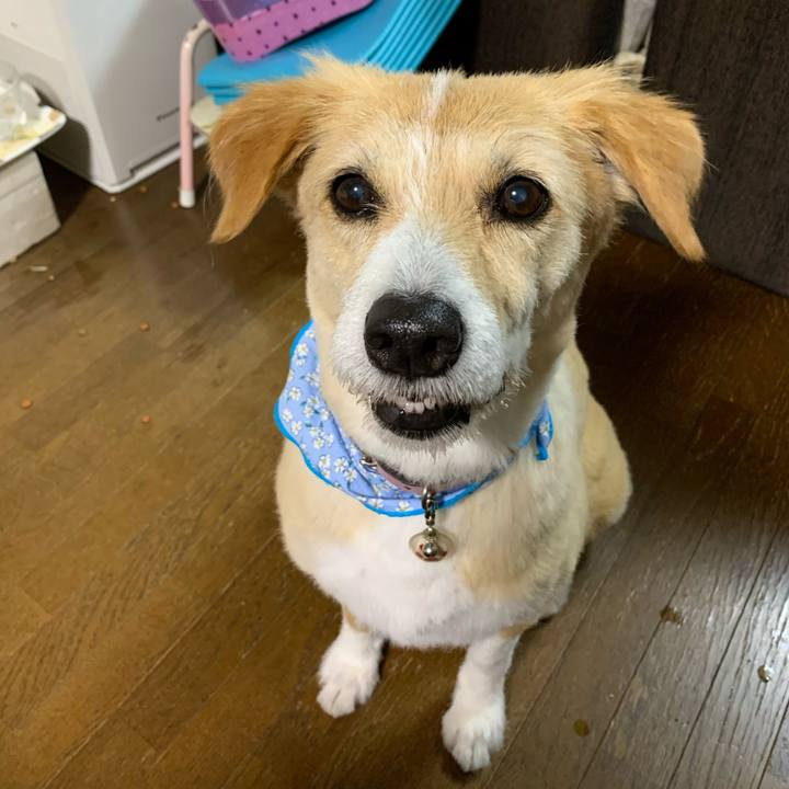 477e6f34 e9f6 4ab2 94dc cb8eca2d243b 1591784103808