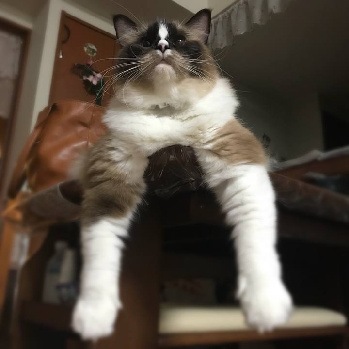 477ec172 8921 46b8 a5c1 a3950ad7c6b7 1533032456574