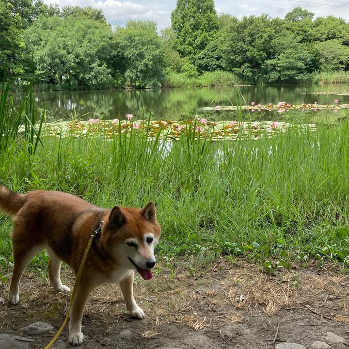 477f6a35 b44b 464f ab59 e2f983944414 1656995705595