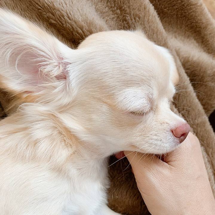 477f788f 6b77 4627 8694 14bde0c419e6 1597382081110