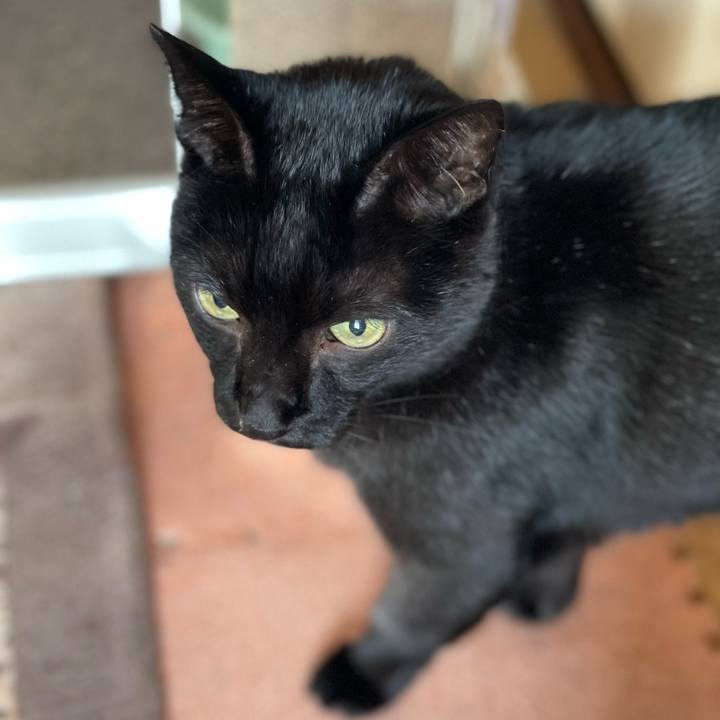 477fc382 98cc 40b4 a7a5 760b1a216aaf 1634694826605