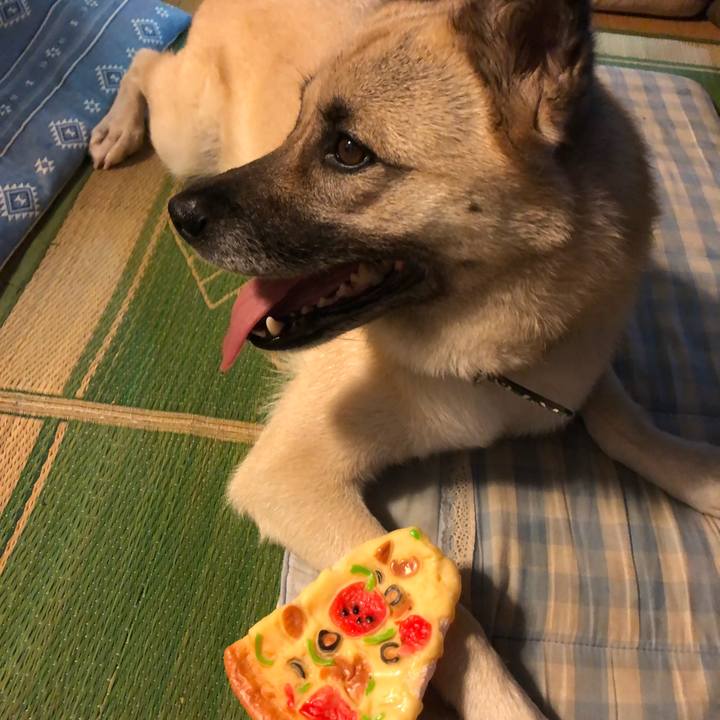 477fc3b1 150e 4c38 b7b6 2d4df730d504 1595850652801