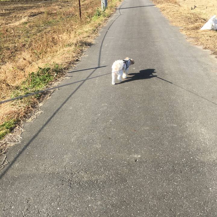 477ff636 5ad3 4e1e a8b8 404455d1cced 1511664490326