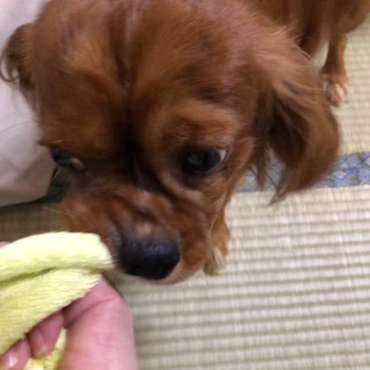 4780081c d5e8 4e22 aac2 04136072bfe1 1564611130362