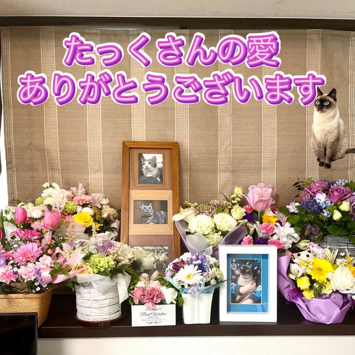 47806303 5554 49e9 8811 0f2505420fa2 1647066912611