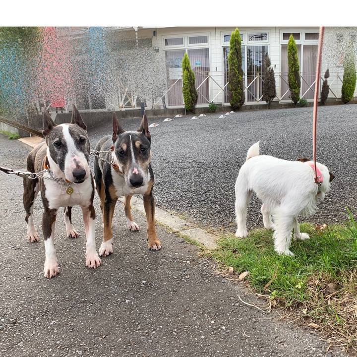 47806b25 752a 4ce9 9f40 cc6652c4b1c5 1590325874675