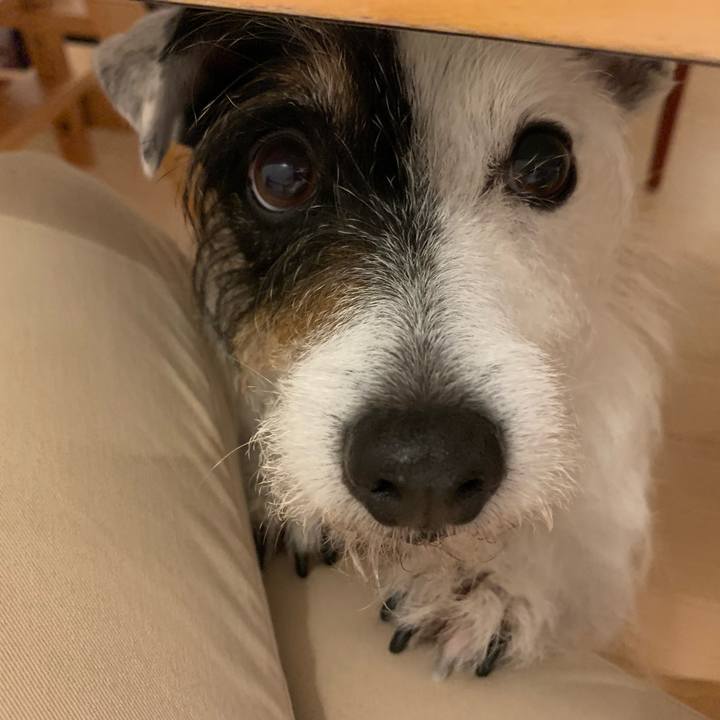 478093e7 04e2 4719 8ef2 d51e17834b11 1684924946218