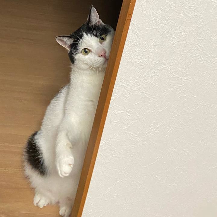 47809b54 c792 44d1 8f13 399d358617aa 1605698686021