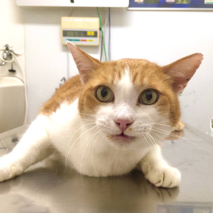 47809ecc f452 4441 85c8 a86f3965bd35 1571813398008