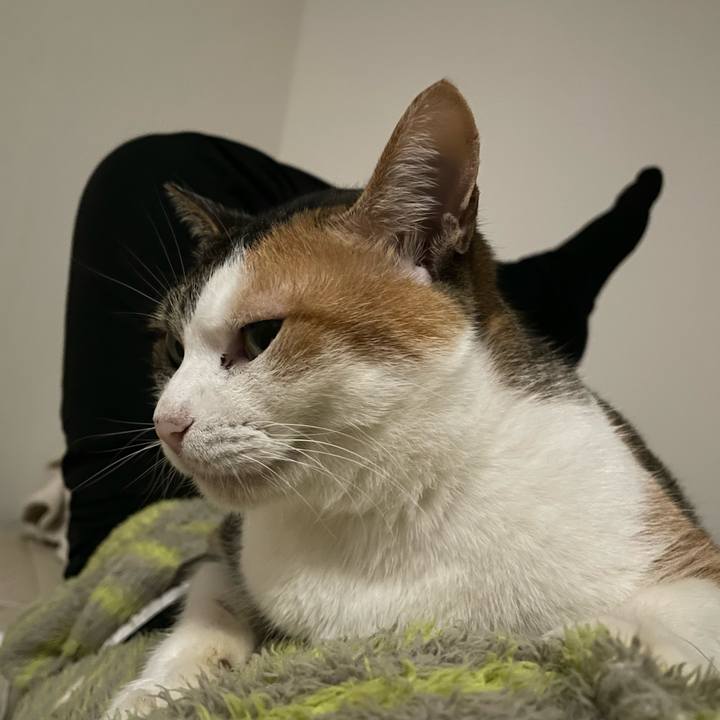 4780a4b8 4720 4a77 bc33 24bfd08d719f 1670068324188