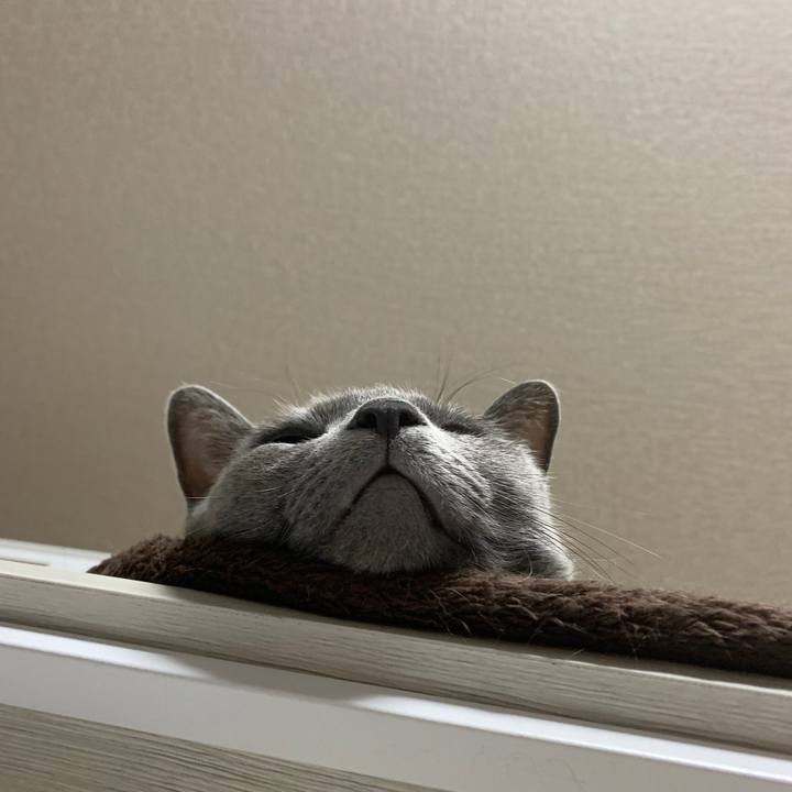 4780ea0f f97a 4cb1 898a 3b49efc1462b 1632636954956