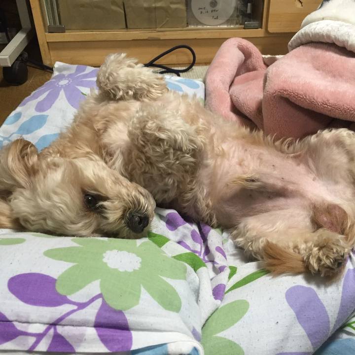 47810081 2276 4587 afaf faec700a94d5 1546665456948