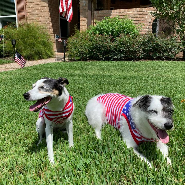 47810a55 3f9d 4e68 aad7 dac6b5c07b0f 1593901117347