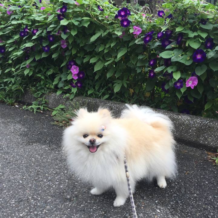 47811bb4 2065 49d7 ab08 c5c29eca2fe0 1600650746809