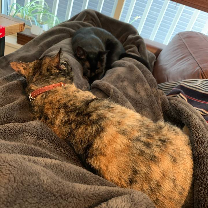 47814020 e4b3 4509 a4c8 471e26b5e2b3 1581228974188