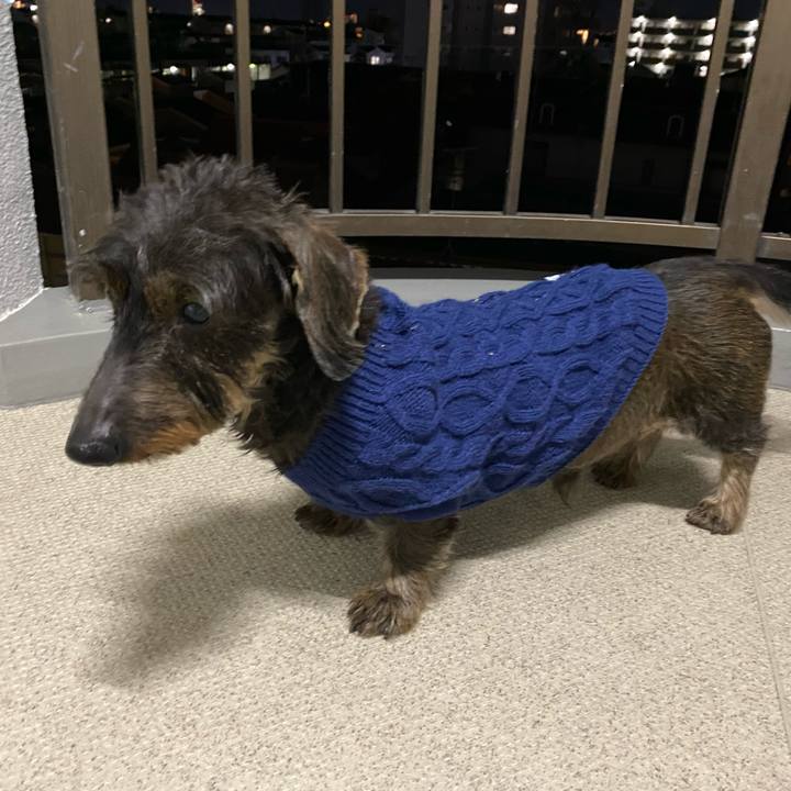 47814243 fa3d 4f3e 95f7 229e7c1e2c72 1608042611722