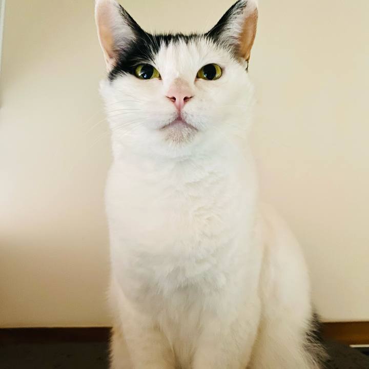 4781603f 95ae 41c8 b17f ea36dd09f2a0 1717923465648