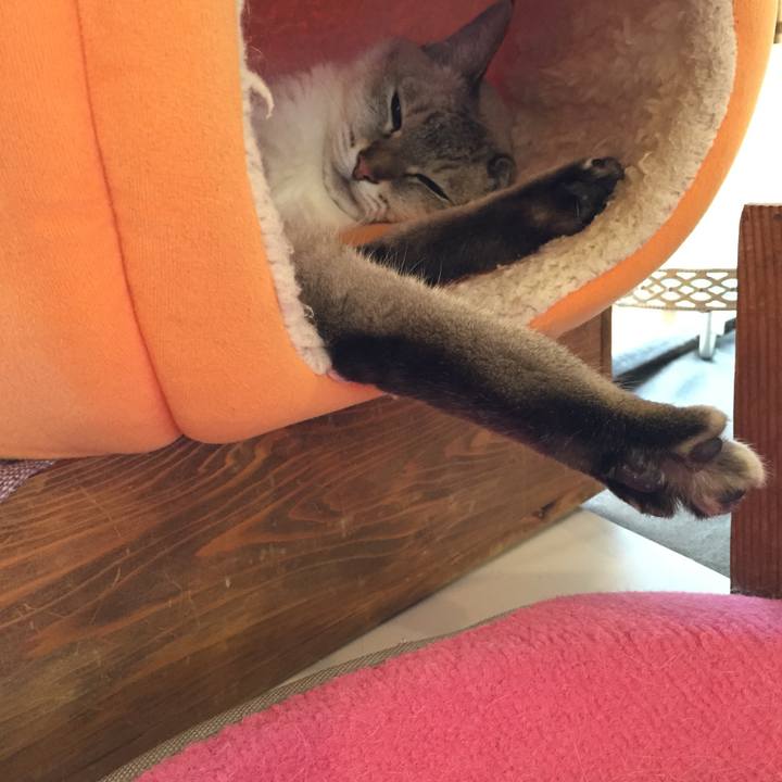 47819f31 9fd4 4fc2 99fd 8d3a1b28f6a3 1536384939463