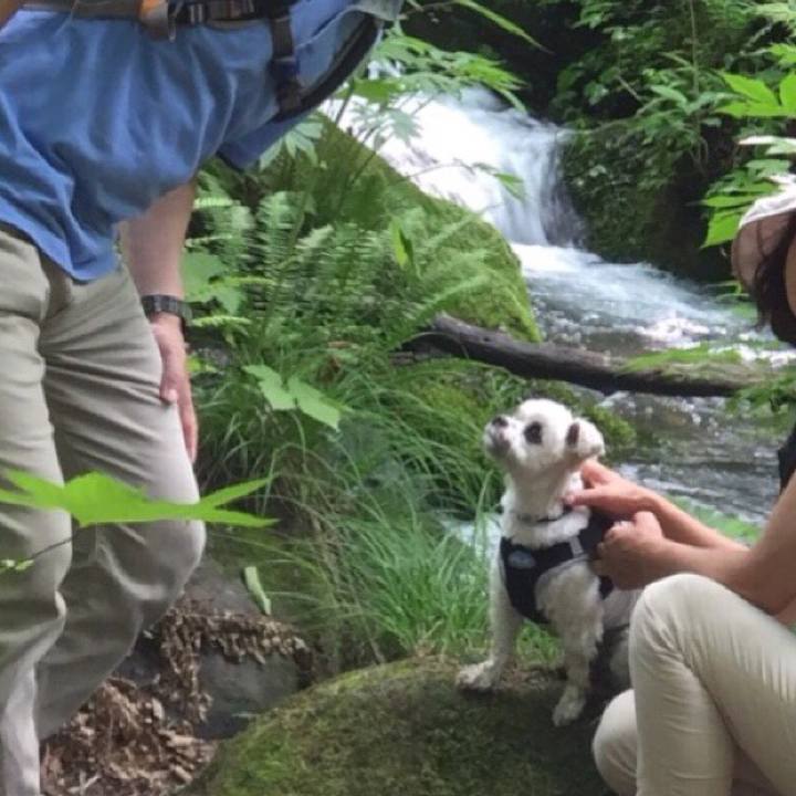 4781c817 f505 4c5b 80a9 a7e5ac4de0b3 1510579895042