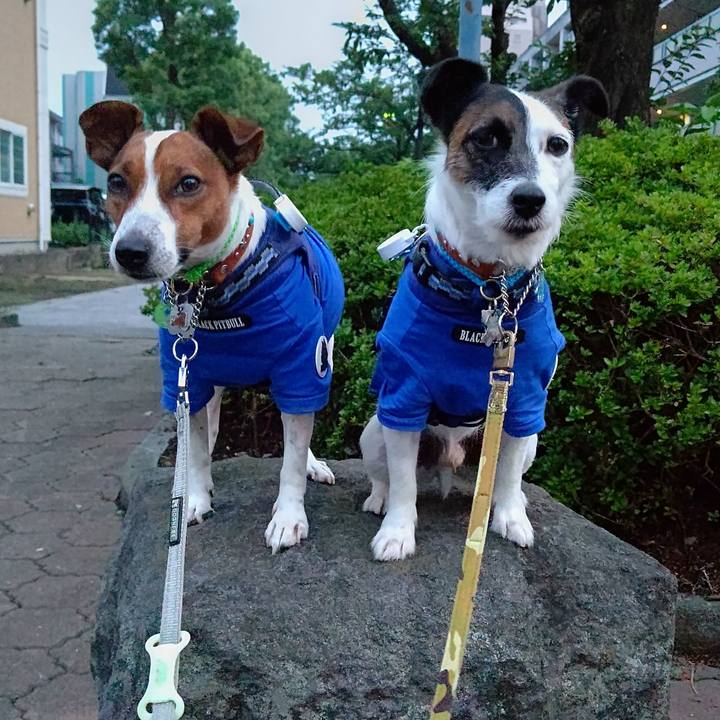 4781eb93 ee2f 4e0c 8771 99724fe9fa26 1625566952344