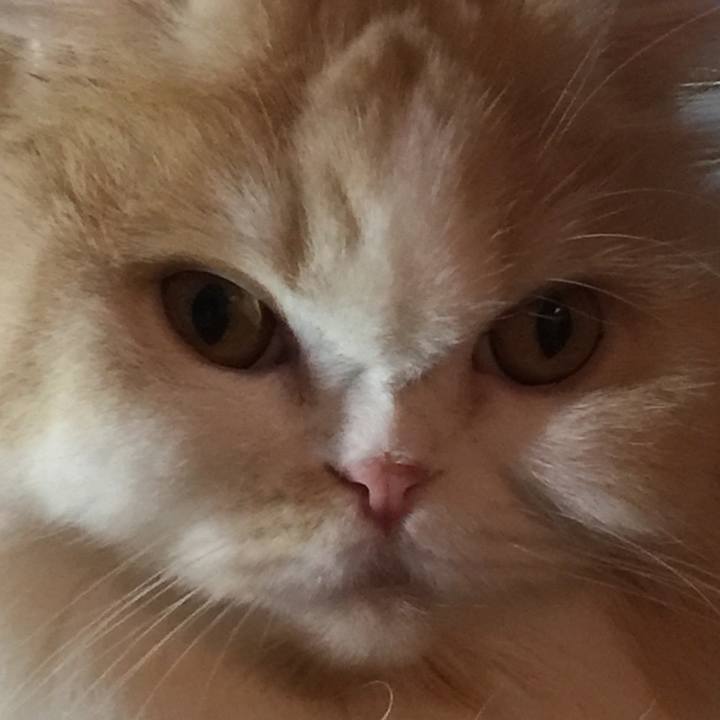 47826d3e d4dc 4604 8307 a4fa8a49d08e 1523528523988