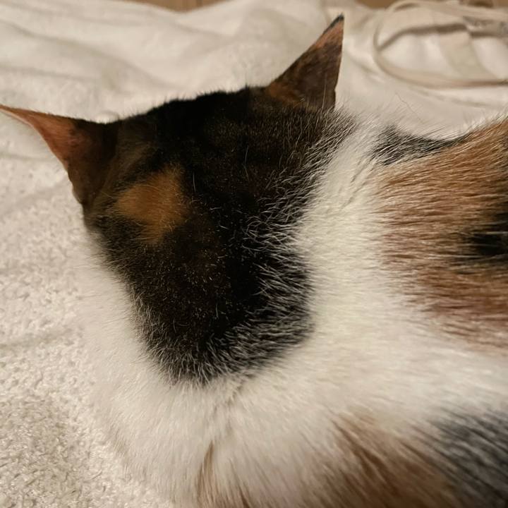 4782a2cf 4463 4592 80df c1d680b1abd5 1643385127323