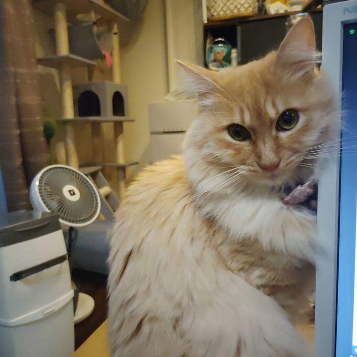 4782ee36 772a 400c 91c2 e9eae6a955e5 1671707544435