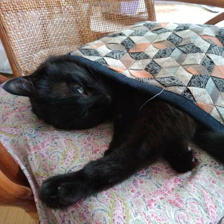 4782fdaa a69c 4885 9a07 843f51bbbdde 1601697289600