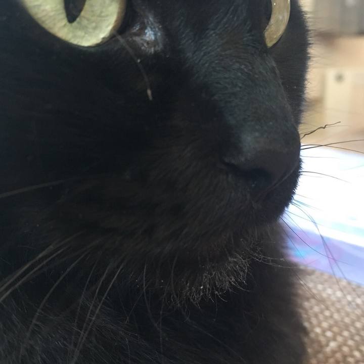 47831eee 7a49 4e0d 93e1 ad0a8c9a7561 1528255444136