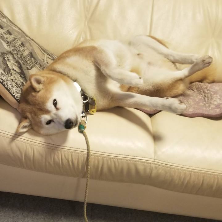 478327a2 cf72 44d9 bfd8 4d4ab95b16ef 1638531152567