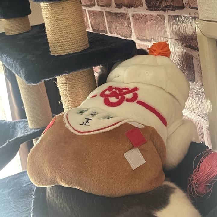 47833d13 9d64 458d 9078 9ec3263beb49 1672537504667