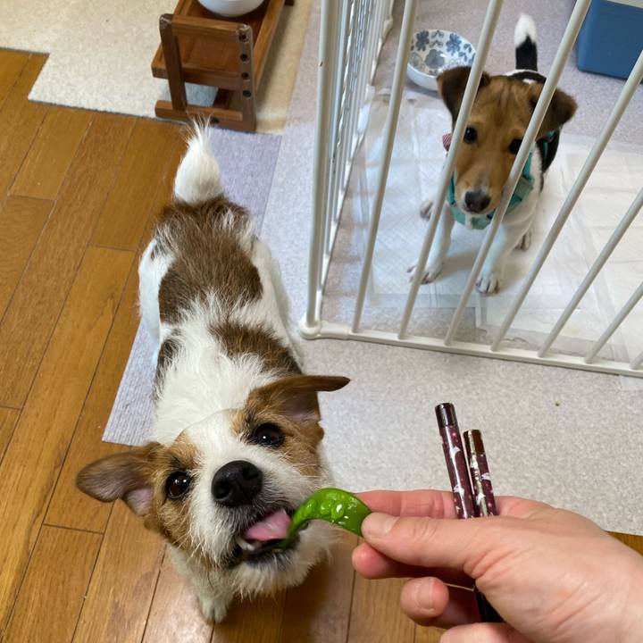 4783507f 71c6 471e a8ce 887e7fcccad1 1746405740321